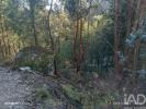 Vente Terrain Marco-de-canaveses PAREDES-DE-VIADORES-E-MANHUNCELOS 1300 m2 Portugal