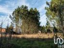 Vente Terrain Marinha-grande MARINHA-GRANDE 1712 m2 Portugal