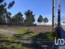 Vente Terrain Marinha-grande  6250 m2 Portugal