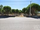 Vente Terrain Marinha-grande MARINHA-GRANDE 3355 m2 Portugal