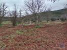 Vente Terrain Marvao SAO-SALVADOR-DA-ARAMENHA 12948 m2 Portugal