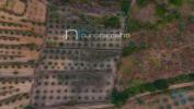 Vente Terrain Meda POAO-DO-CANTO 11872 m2 Portugal