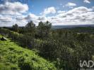 Vente Terrain Mertola S.MIG.-PINHEIRO,-S.PEDRO-SOLIS,-S.SEBASTIA£O-CARRO 32767 m2 Portugal