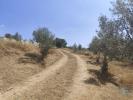 Vente Maison Mogadouro CASTELO-BRANCO 144 m2 Portugal