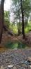 Vente Terrain Monchique MONCHIQUE 30 m2 Portugal