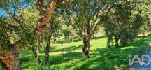 Vente Terrain Monchique MONCHIQUE 4960 m2 Portugal