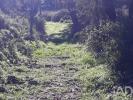 Vente Terrain Monchique MONCHIQUE 360 m2 Portugal