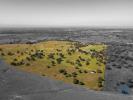 Vente Maison Montemor-o-novo SANTIAGO-DO-ESCOURAL 32767 m2 Portugal