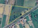 Vente Terrain Montijo PEGAµES 1000 m2 Portugal
