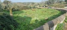 Vente Terrain Nisa  Portugal