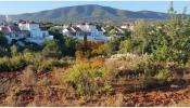 Vente Terrain Olhao MONCARAPACHO 20240 m2 Portugal