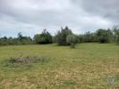 Vente Terrain Olhao PECHAO 1480 m2 Portugal