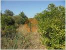 Vente Terrain Olhao MONCARAPACHO-E-FUSETA 42 m2 Portugal