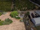 Vente Maison Olhao MONCARAPACHO 200 m2 Portugal