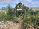 Vente Terrain Olhao MONCARAPACHO-E-FUSETA 27040 m2 Portugal
