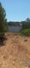 Vente Terrain Olhao MONCARAPACHO-E-FUSETA 5320 m2 Portugal