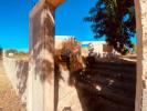 Vente Maison Olhao PECHA�O 222 m2 Portugal