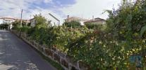 Vente Terrain Oliveira-do-hospital OLIVEIRA-DO-HOSPITAL-E-SA�O-PAIO-DE-GRAMAA�OS 304 m2 Portugal