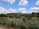 Vente Terrain Oliveira-do-hospital  32767 m2 Portugal
