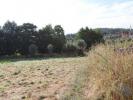 Vente Terrain Oliveira-do-hospital  8000 m2 Portugal