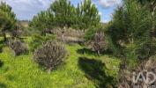 Vente Terrain Oliveira-do-hospital SEIXO-DA-BEIRA 1480 m2 Portugal