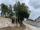 Vente Terrain Ourem NOSSA-SENHORA-MISERICARDIAS 800 m2 Portugal