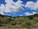 Vente Terrain Ourem NOSSA-SENHORA-DA-PIEDADE 420 m2 Portugal