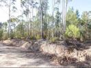 Vente Terrain Ourem MATAS-E-CERCAL 1840 m2 Portugal