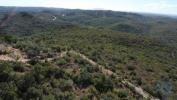 Vente Terrain Ourem FREIXIANDA,-RIBEIRA-DO-FARRIO-E-FORMIGAIS 15939 m2 Portugal
