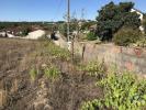 Vente Terrain Ourem RIO-DE-COUROS-E-CASAL-DOS-BERNARDOS 3446 m2 Portugal