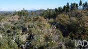 Vente Maison Ourem FREIXIANDA,-RIBEIRA-DO-FARRIO-E-FORMIGAIS 86 m2 Portugal