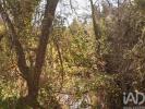 Vente Terrain Ourem FREIXIANDA,-RIBEIRA-DO-FARRIO-E-FORMIGAIS 5100 m2 Portugal