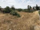 Vente Terrain Ourem FREIXIANDA,-RIBEIRA-DO-FARRIO-E-FORMIGAIS 3000 m2 Portugal