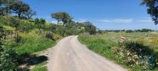 Vente Maison Ourique OURIQUE 32767 m2 Portugal