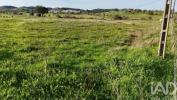 Vente Terrain Ourique  5525 m2 Portugal
