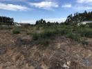 Vente Terrain Ovar OVAR,-S.JOAO,-ARADA-E-S.VICENTE-DE-PEREIRA-JUSA 2680 m2 Portugal