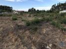 Vente Terrain Ovar OVAR,-S.JOAŁO,-ARADA-E-S.VICENTE-DE-PEREIRA-JUSAŁ 2680 m2 Portugal