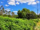 Vente Terrain Ovar ESMORIZ 2000 m2 Portugal