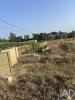 Vente Terrain Ovar VA¡LEGA 2999 m2 Portugal