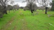 Vente Terrain Paderne 3760 m2 Portugal