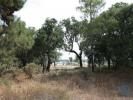 Vente Terrain Palmela PALMELA 1600 m2 Portugal