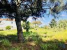 Vente Terrain Palmela PALMELA 808 m2 Portugal