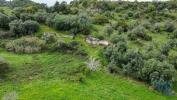 Vente Terrain Palmela QUINTA-DO-ANJO 120 m2 Portugal