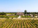Vente Maison Palmela POCEIRAO-E-MARATECA 1200 m2 Portugal