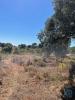 Vente Terrain Palmela PALMELA 332 m2 Portugal