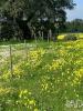 Vente Terrain Palmela PALMELA 3999 m2 Portugal