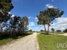 Vente Terrain Palmela PALMELA 864 m2 Portugal