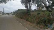 Vente Terrain Pedrogao-grande PEDRA�GA�O-GRANDE 900 m2 Portugal