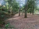 Vente Terrain Pedrogao-grande GRAAA 7231 m2 Portugal