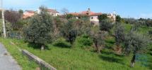 Vente Terrain Pedrogao-grande GRAAA 3250 m2 Portugal